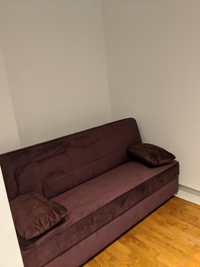 Alessia Apartment In The Old Town ティミショアラ エクステリア 写真