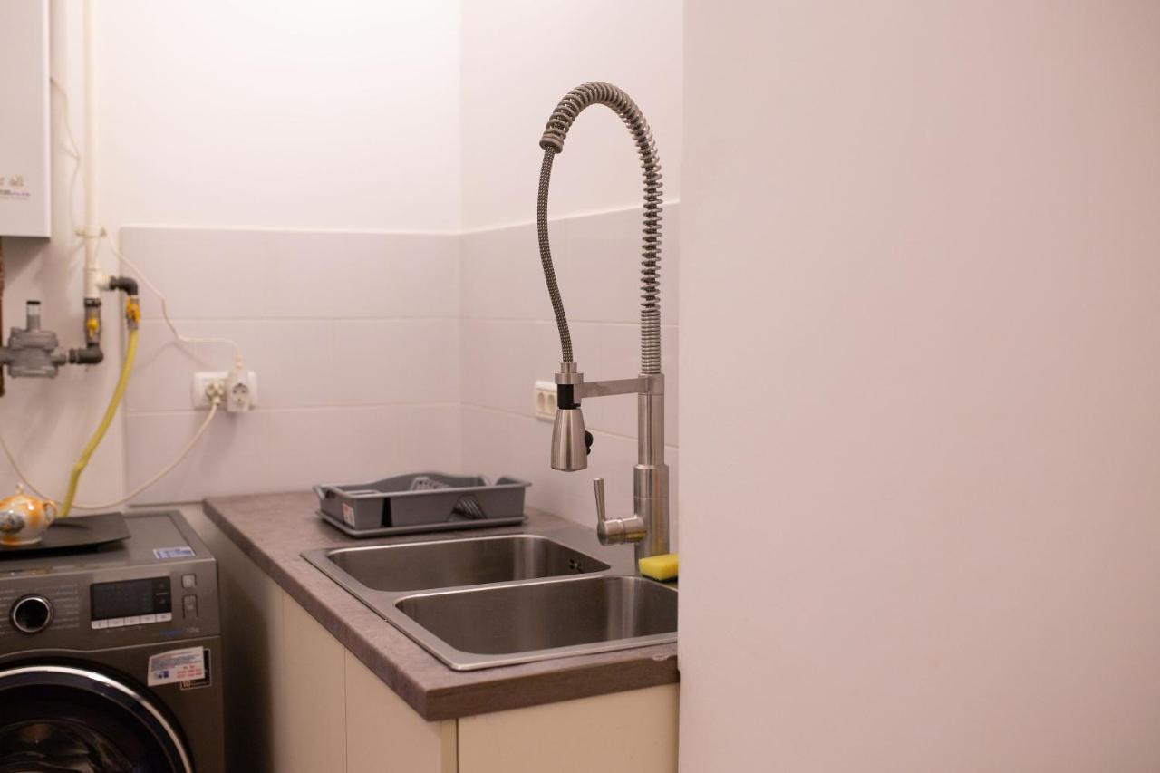 Alessia Apartment In The Old Town ティミショアラ エクステリア 写真